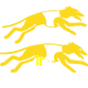  Ir6